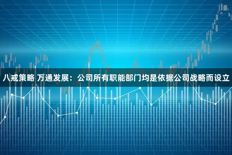 八戒策略 万通发展：公司所有职能部门均是依据公司战略而设立